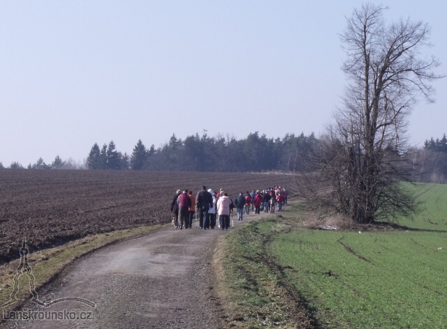 10_Cesta v polich.jpg